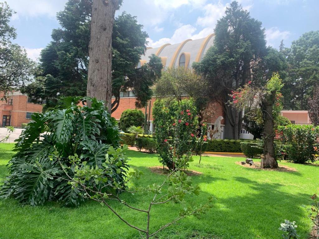 Hotel Express Quinta Soledad Ciudad de México Exterior foto