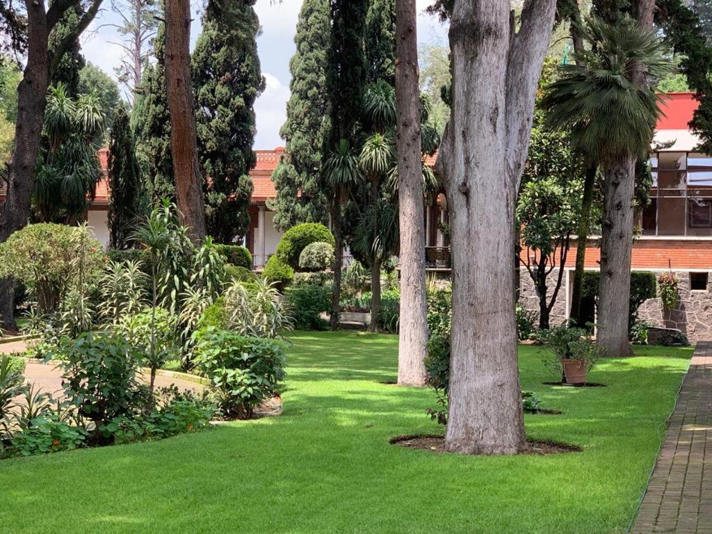 Hotel Express Quinta Soledad Ciudad de México Exterior foto