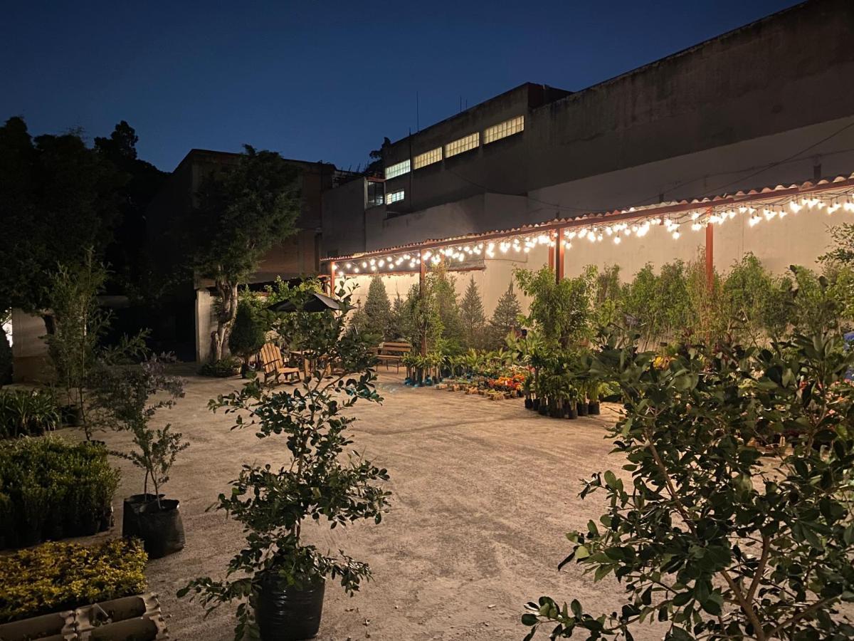 Hotel Express Quinta Soledad Ciudad de México Exterior foto