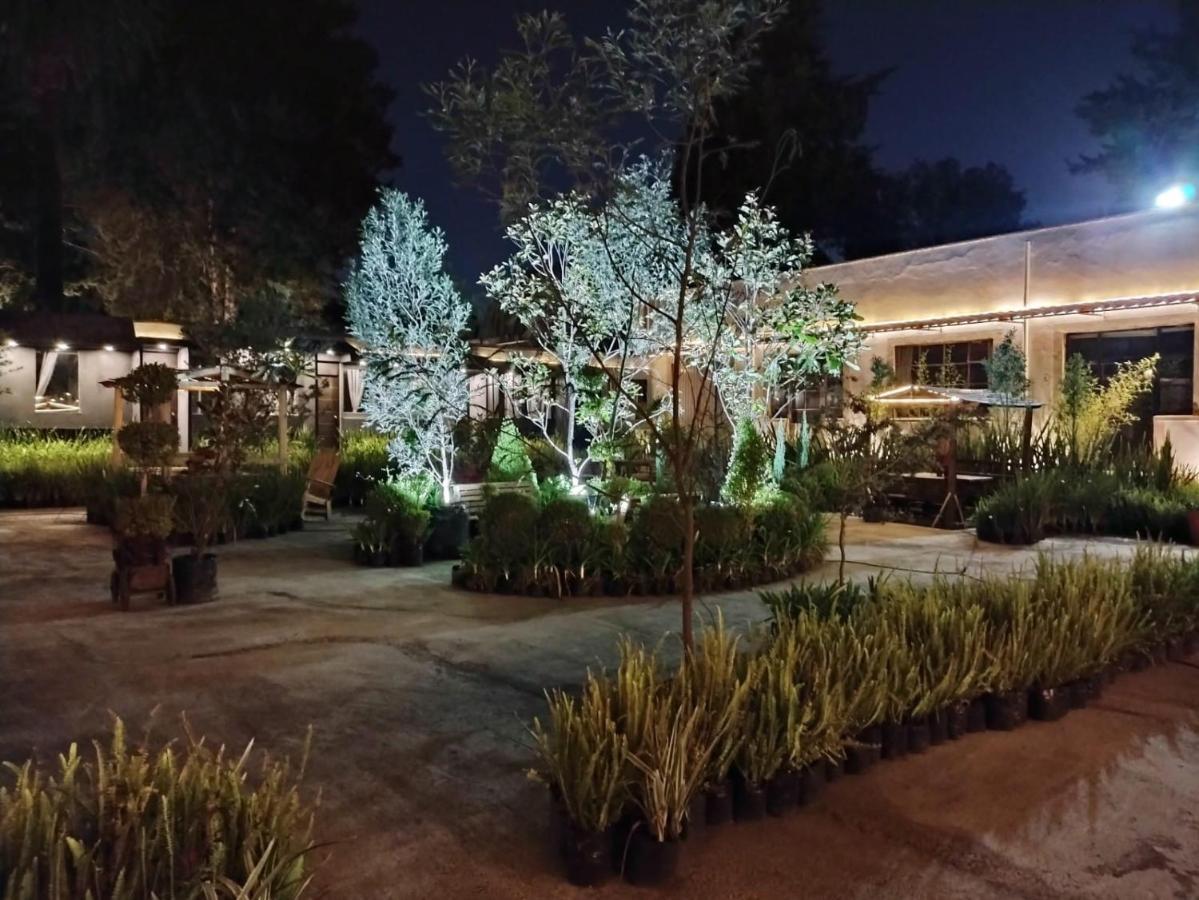 Hotel Express Quinta Soledad Ciudad de México Exterior foto